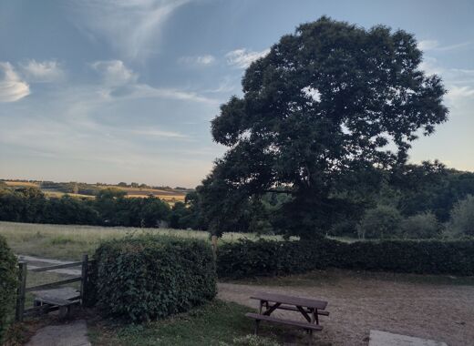 IMG 20250708 204021125 HDR